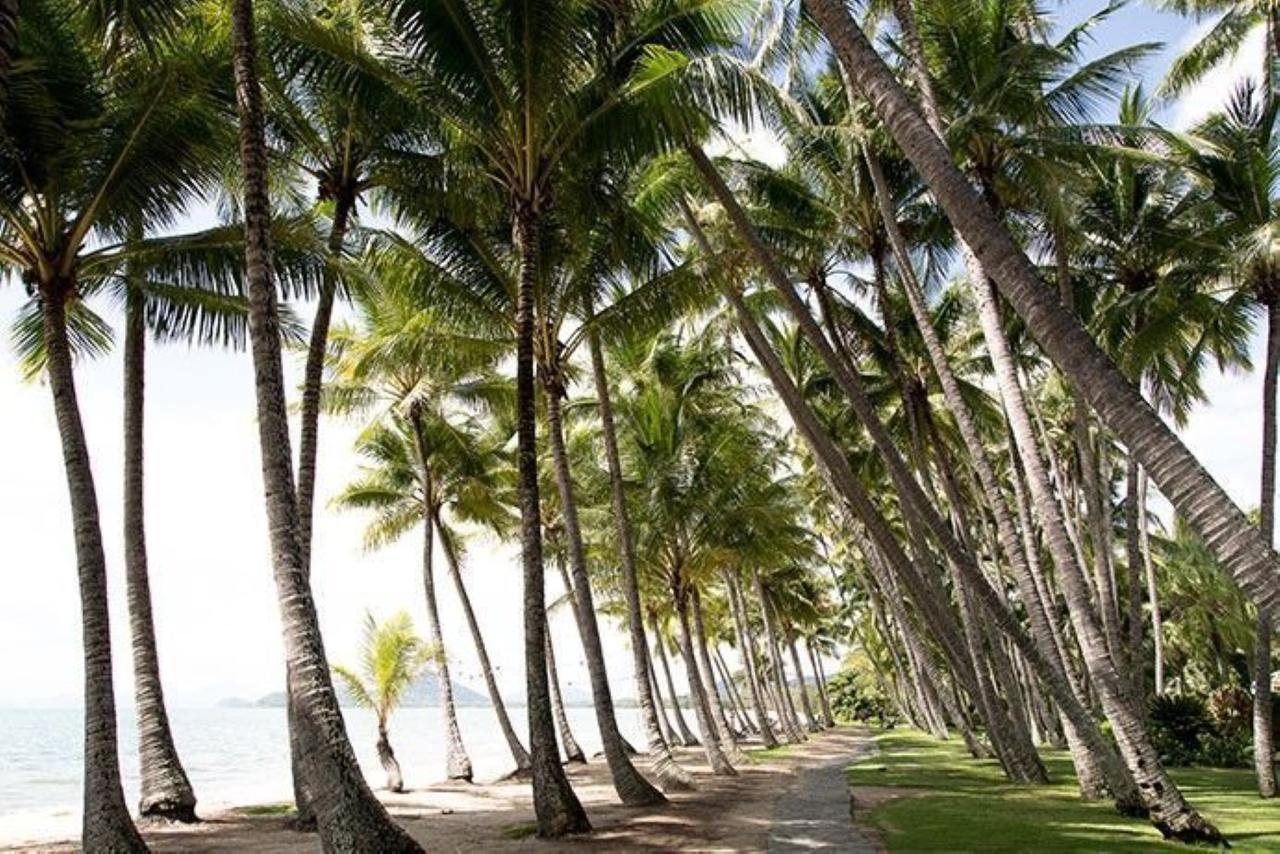 Tranquility Chill At Palm Cove Apartment Kuranda Exterior photo