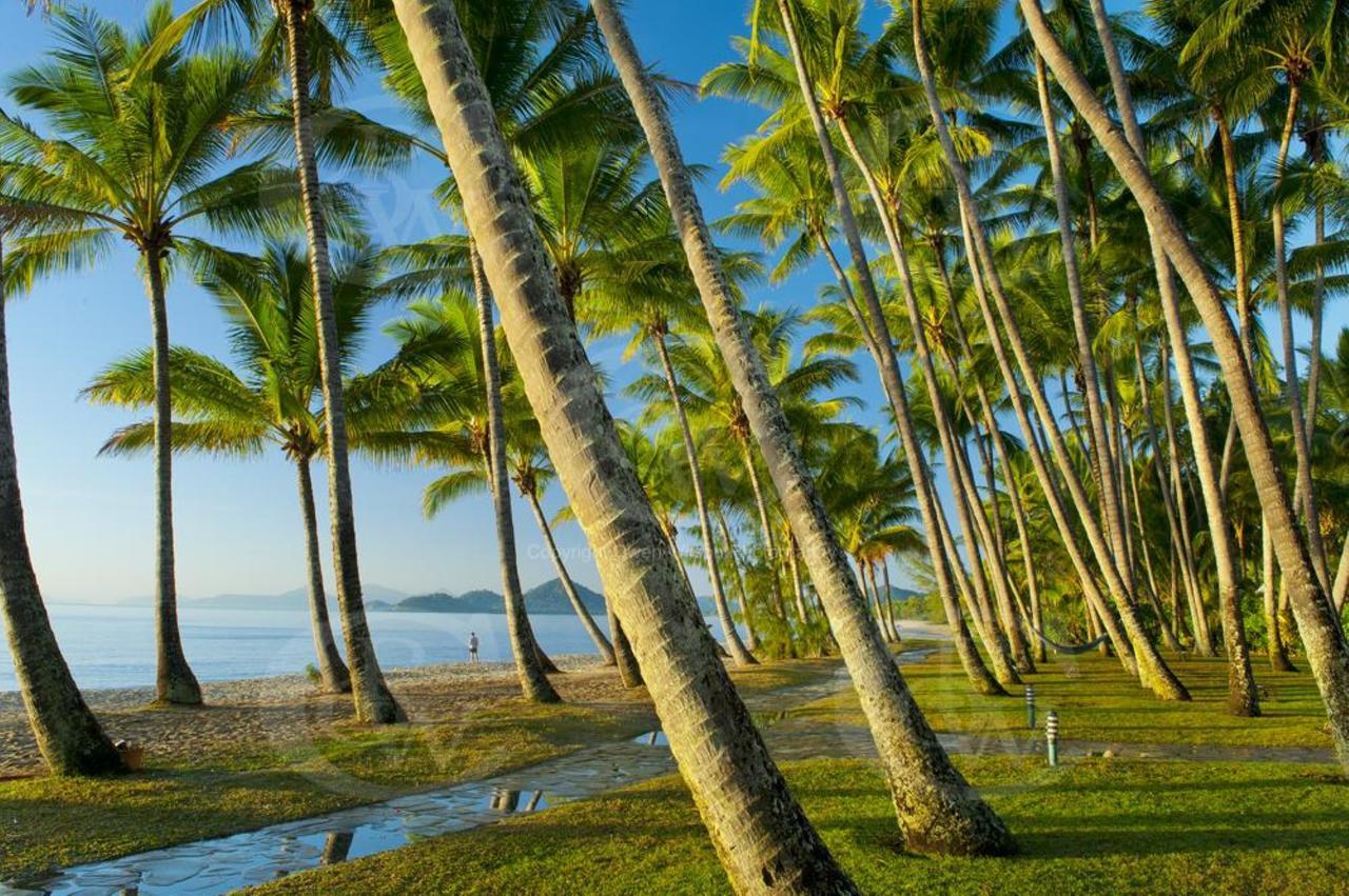 Tranquility Chill At Palm Cove Apartment Kuranda Exterior photo